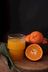 高清黑色背景橘子桔子玻璃杯橙汁