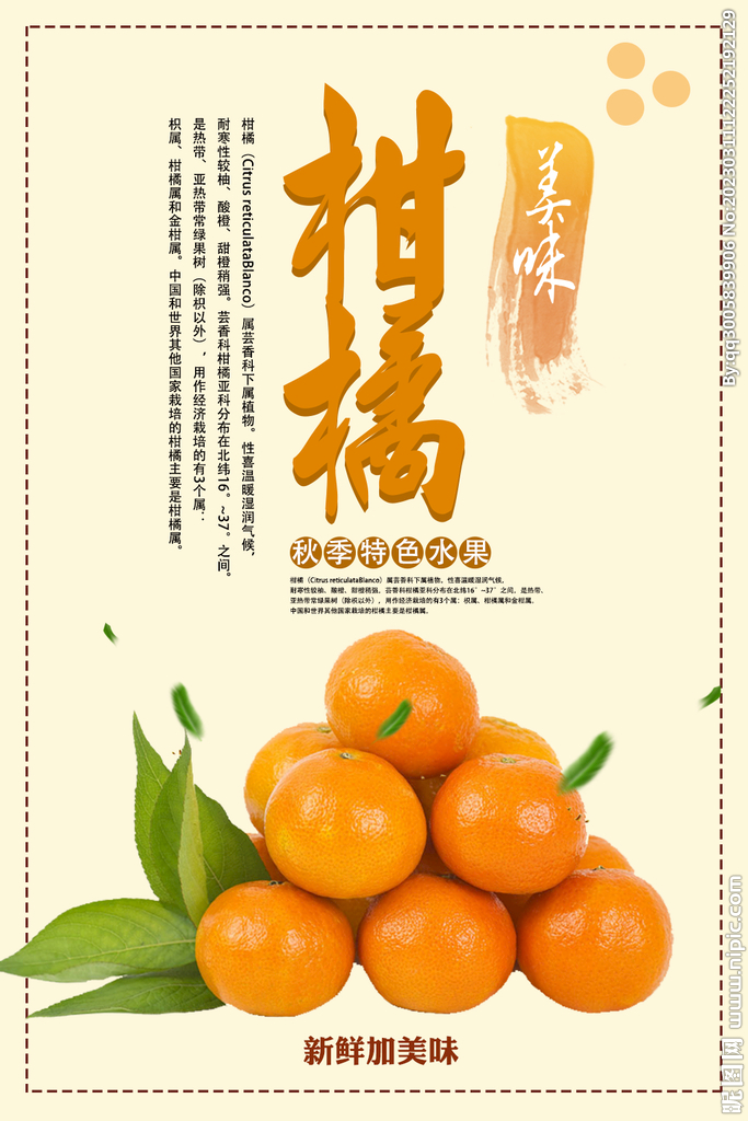 柑橘水果海报         