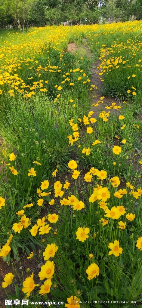 馬山神秘風景
