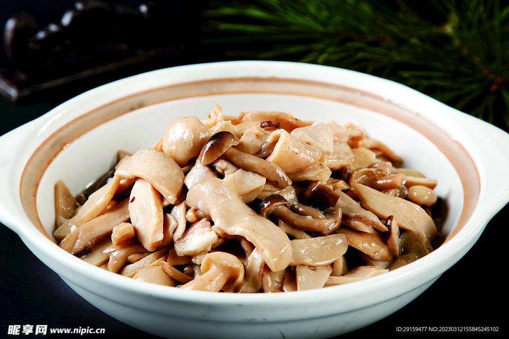 部落養(yǎng)生菌