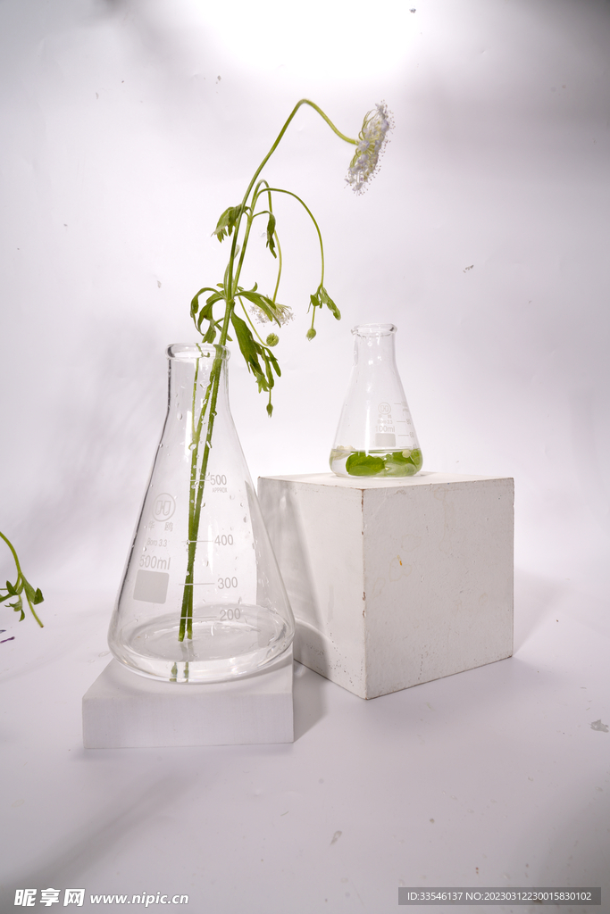 植物烧杯实验器材量杯玻璃锥形瓶