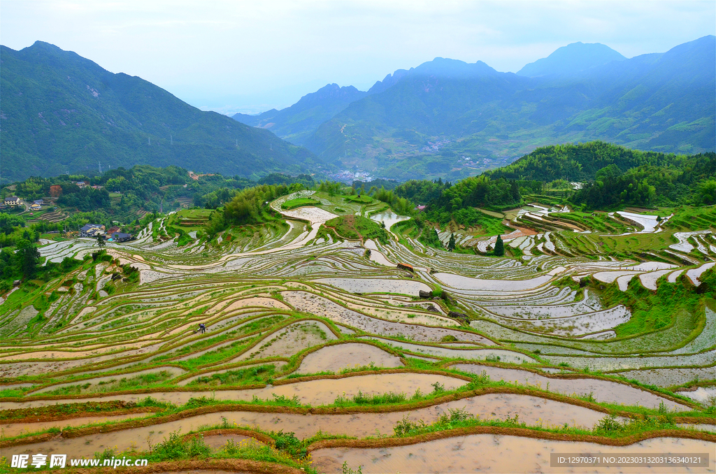 云和梯田