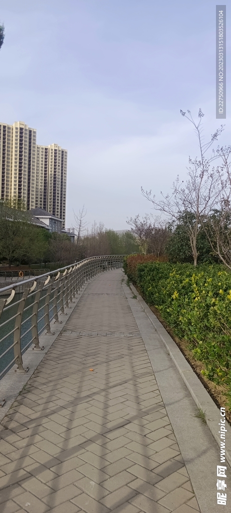 河邊小路
