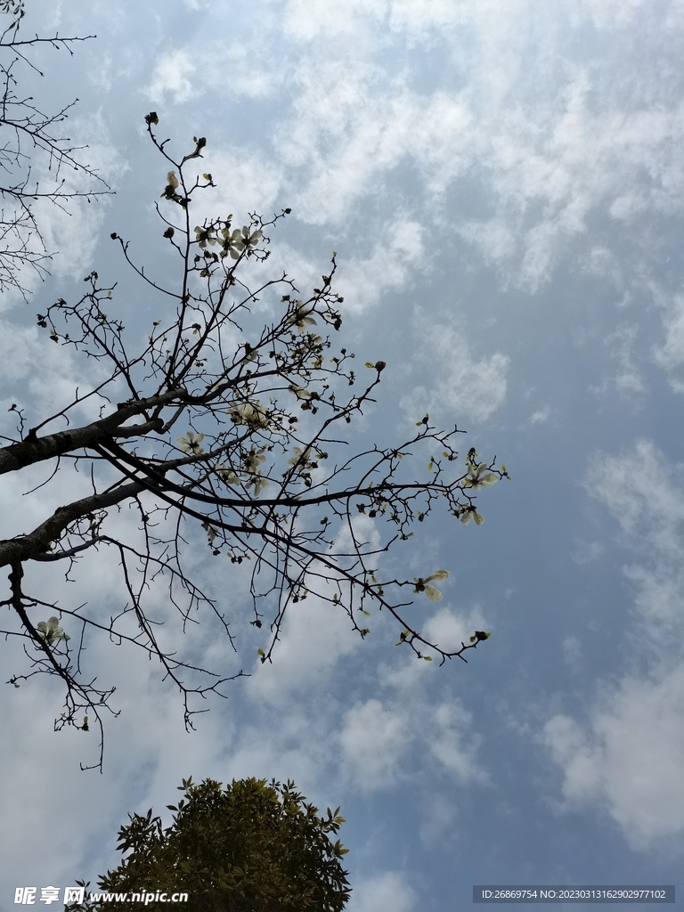 戶外的天空