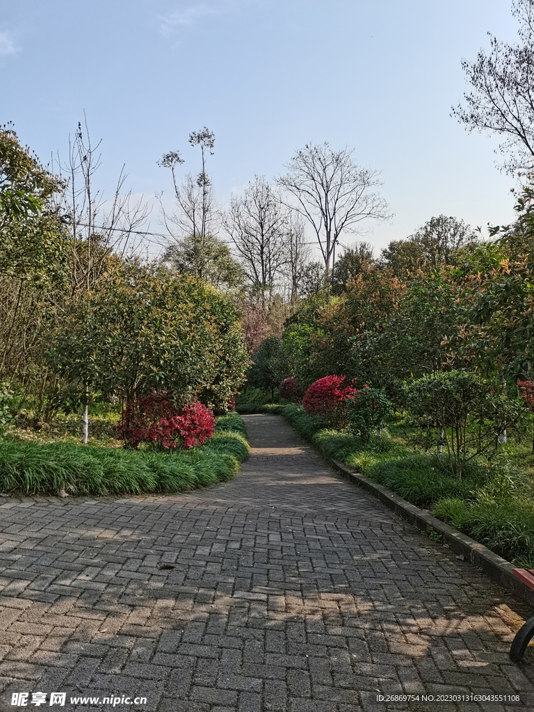 公園園林路