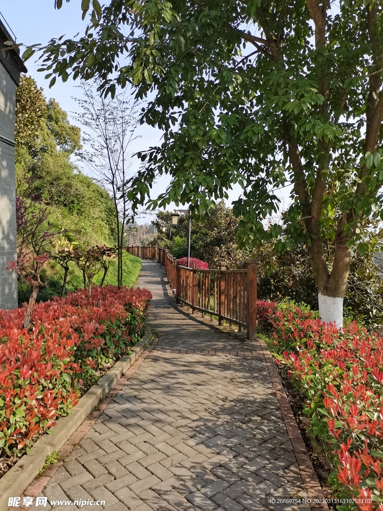 公園園林路
