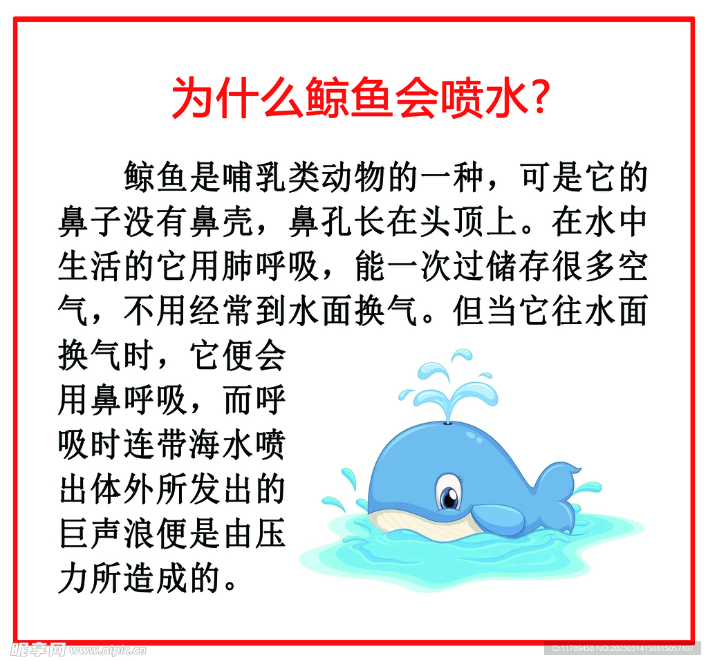 小学生科普 十万个为什么