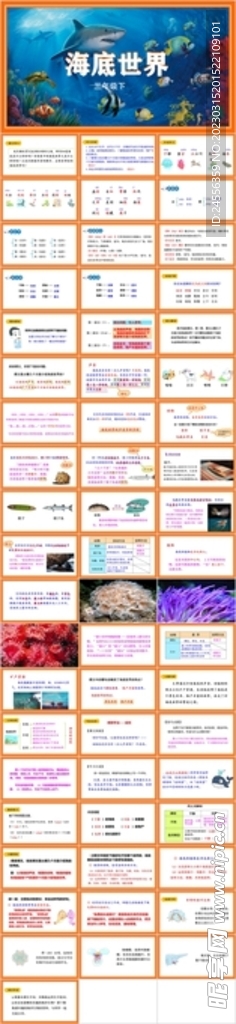海底世界
