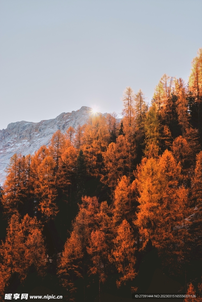 山河