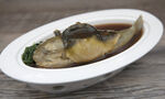 河豚魚