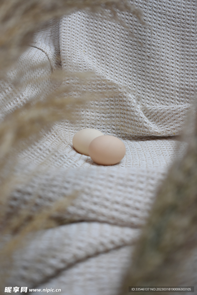 新鲜农家鸡蛋
