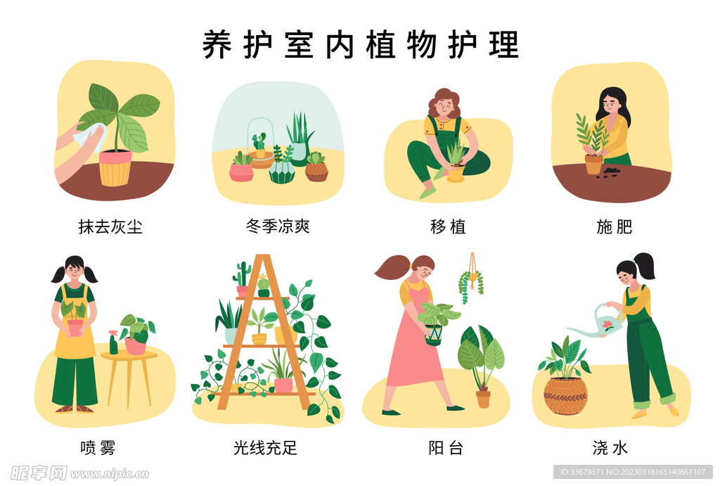 盆栽植物