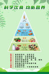 营养均衡 食物金字塔