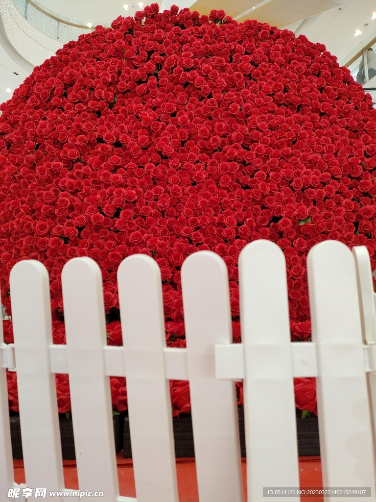栅栏红花