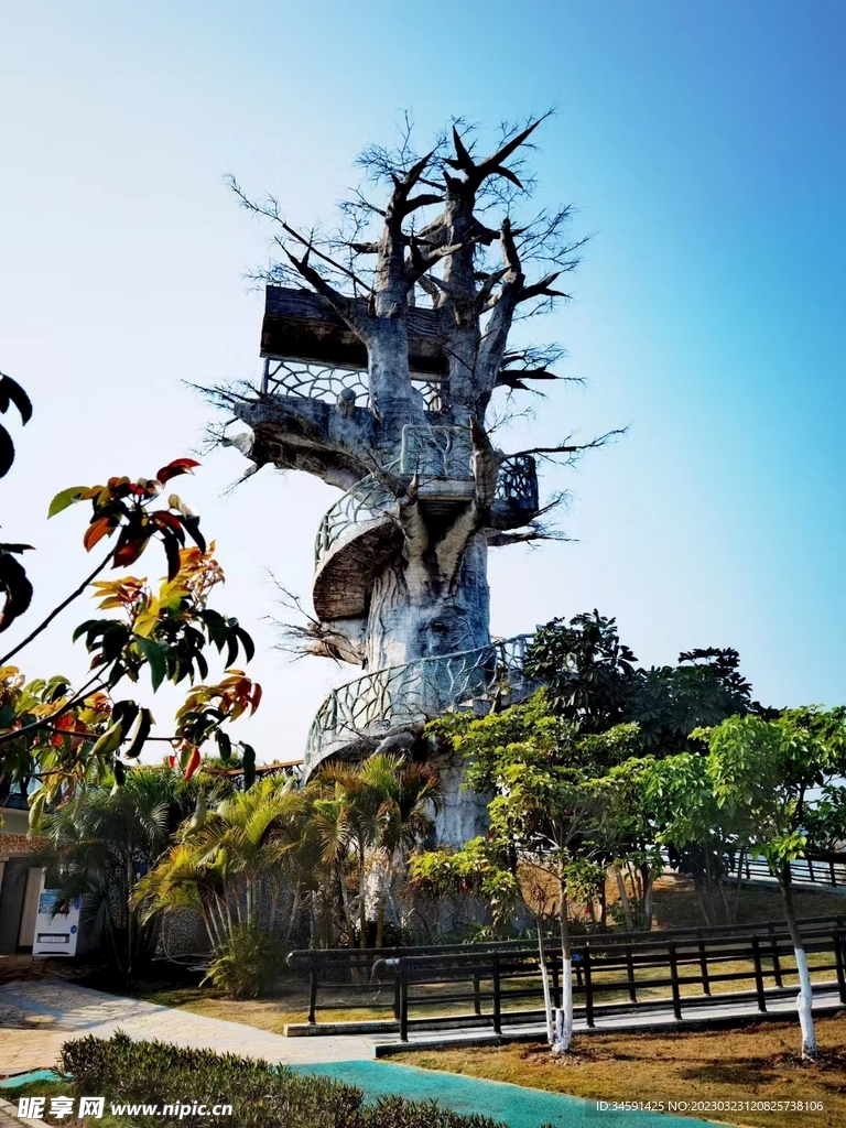 珠海城市旅游天梯树拍摄