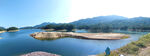 仙湖自然风景