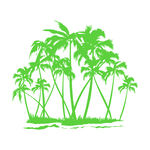 椰子树高清图