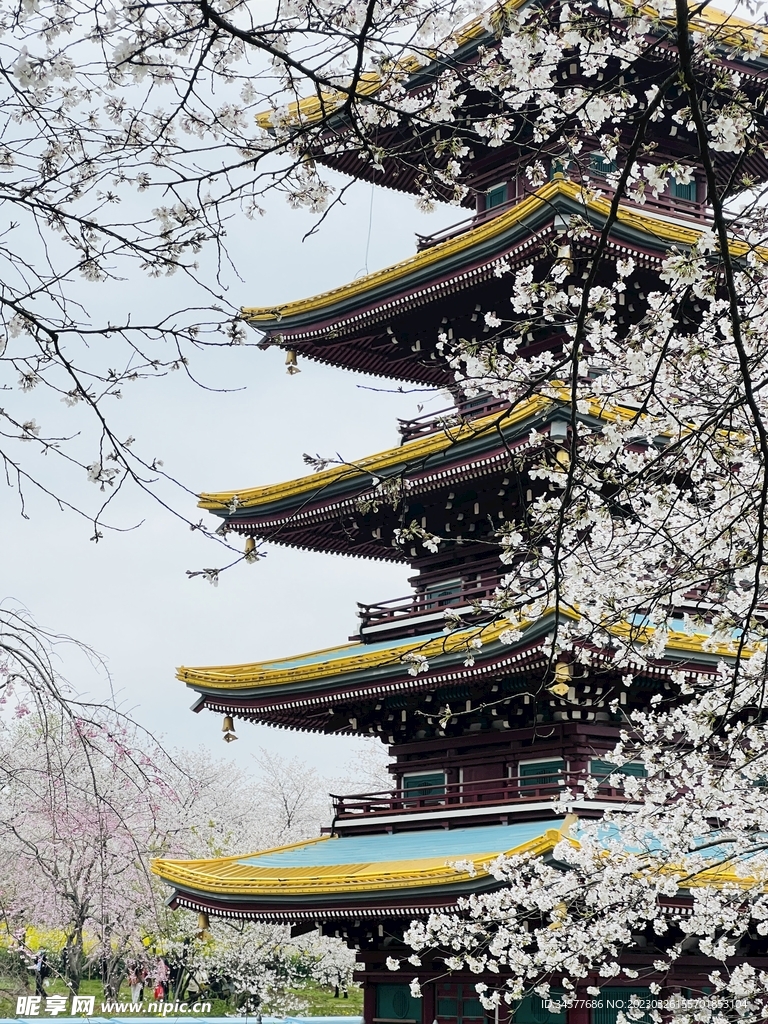 東湖櫻園