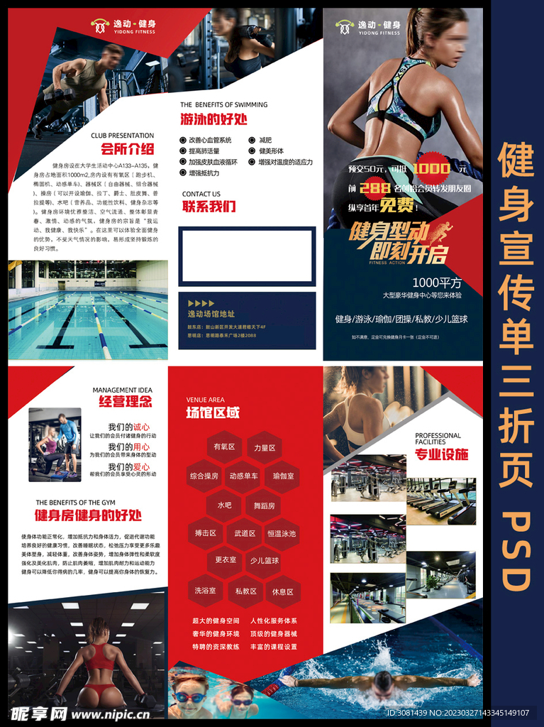游泳健身宣传单三折页