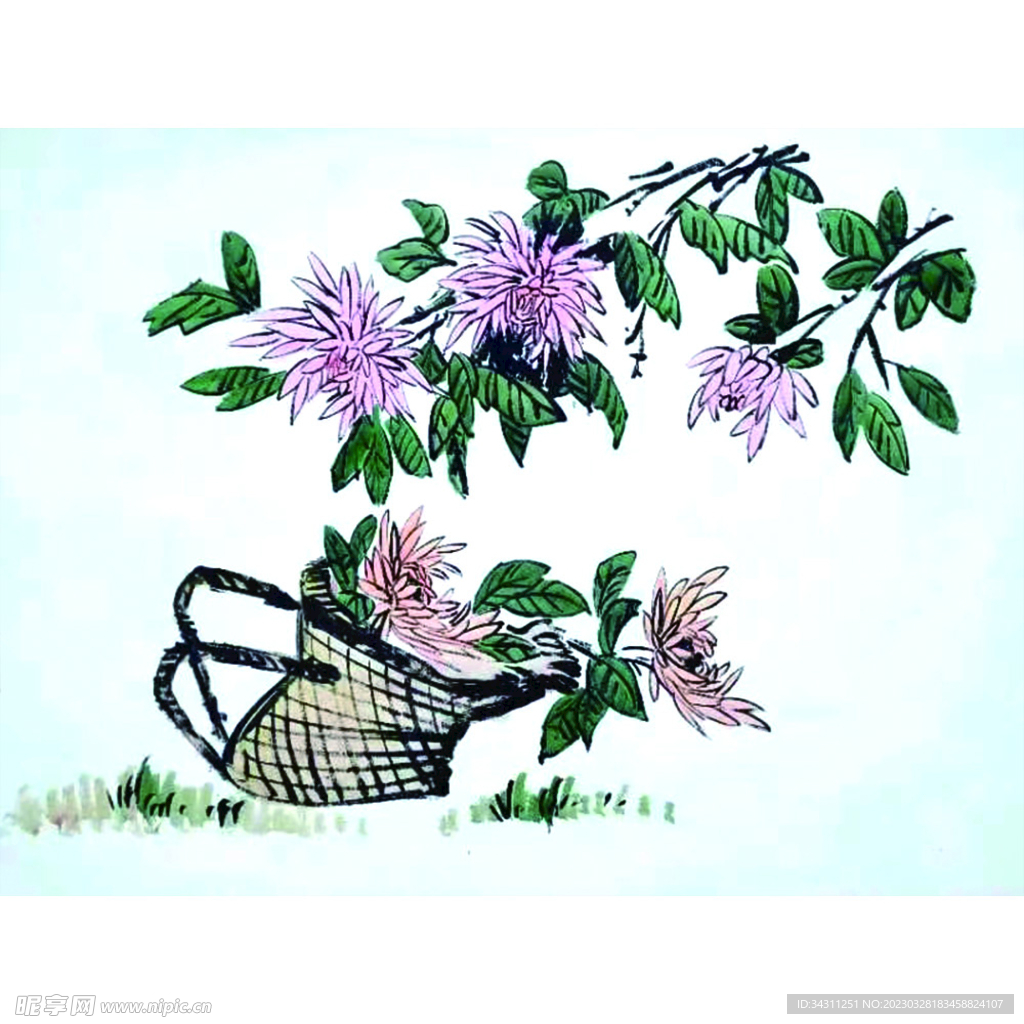 菊花
