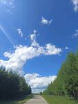 7月的蓝天白云绿树