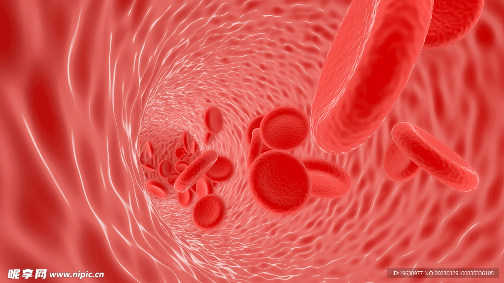 细胞血管场景