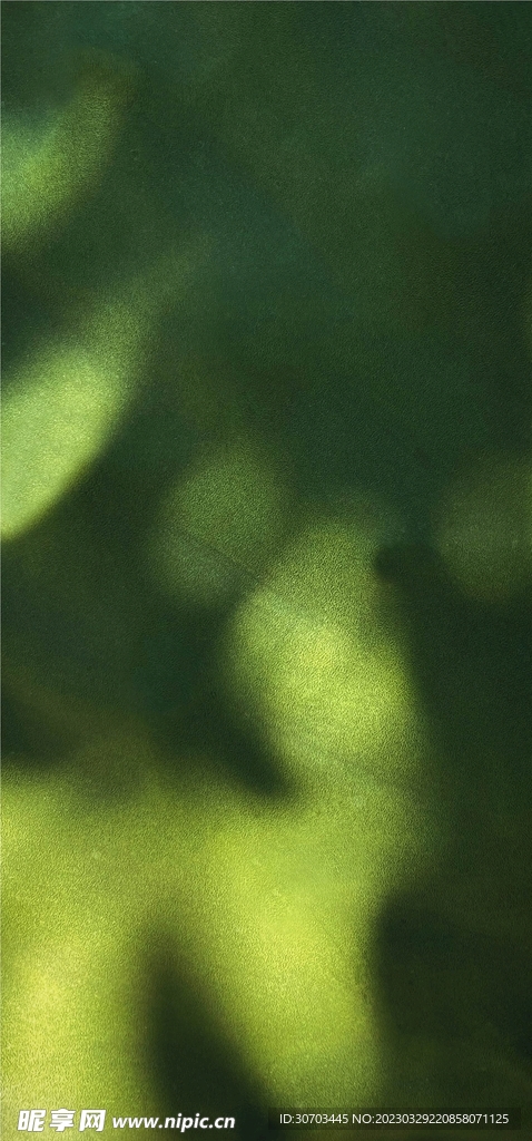 綠色草地