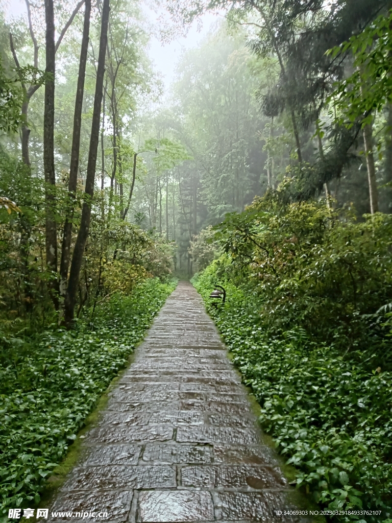 山間小路