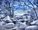 雪景