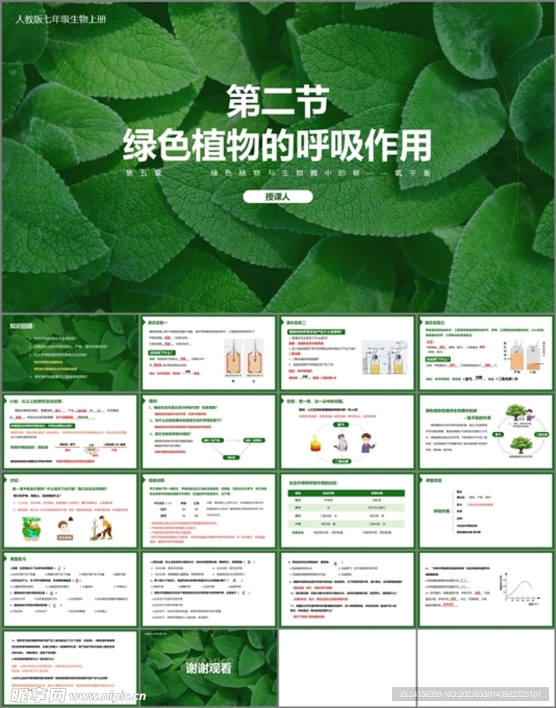 綠色植物的呼吸作用