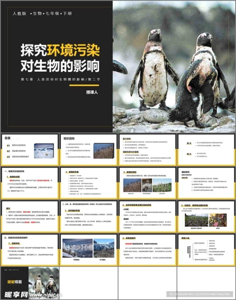 探究環境污染對生物的影響