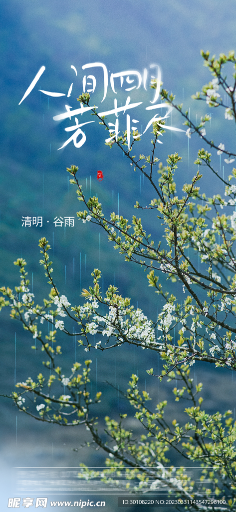 清明节谷雨海报