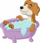 卡通小狗洗澡