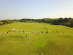 高尔夫球场风景