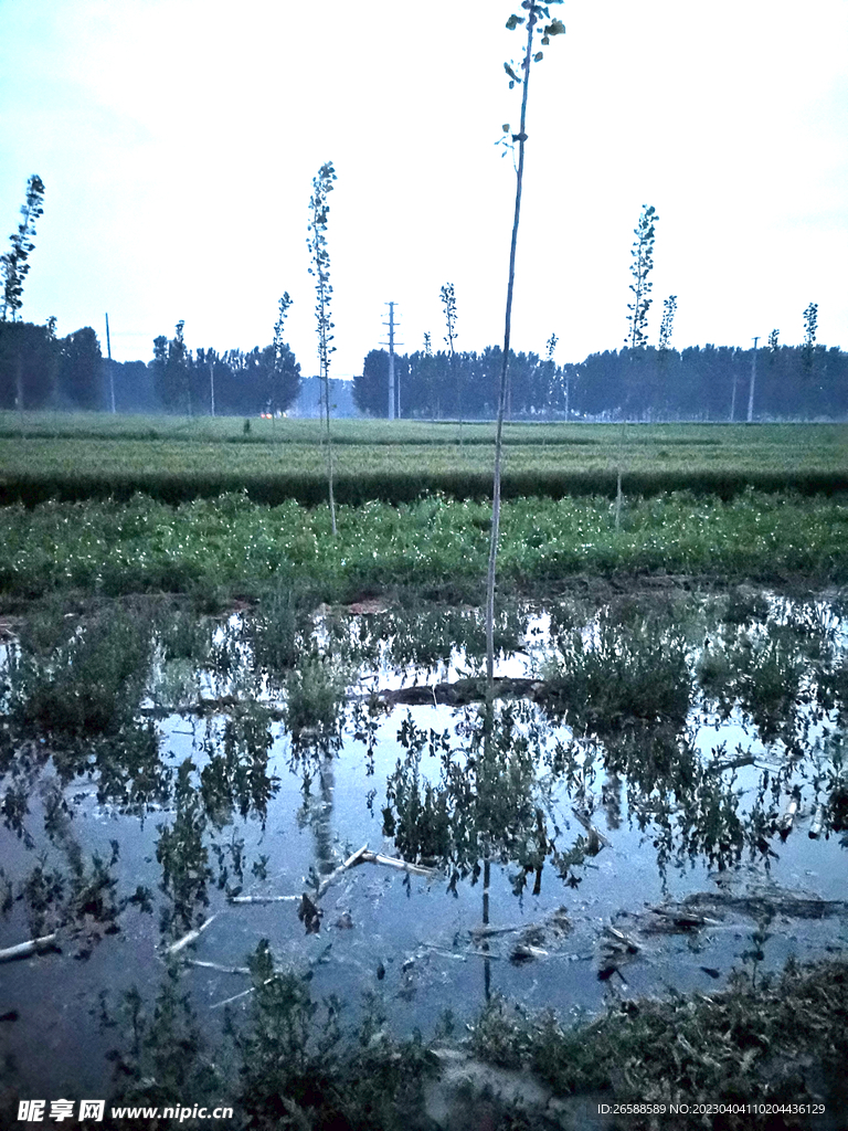 土地