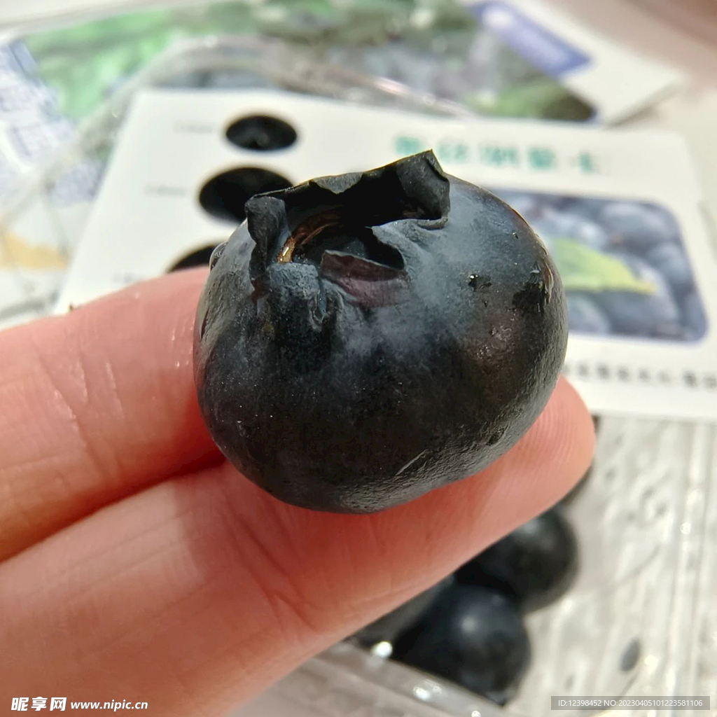 藍莓果