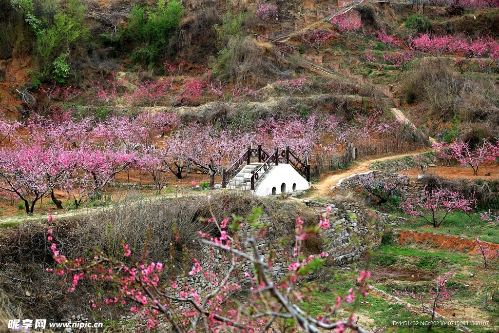 桃花源