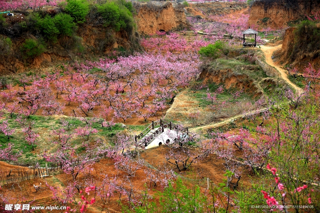 桃花源