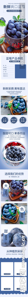 蓝莓水果详情页