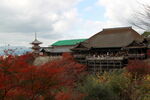 京都秋景