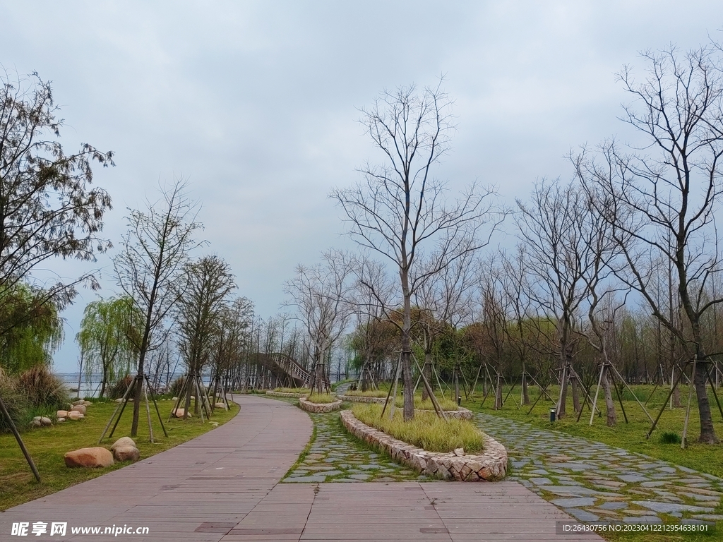 小樹林石板路