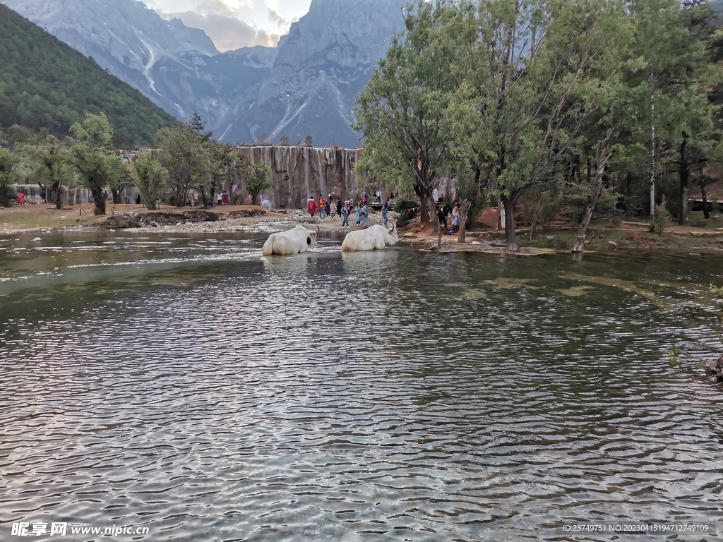 丽江风景