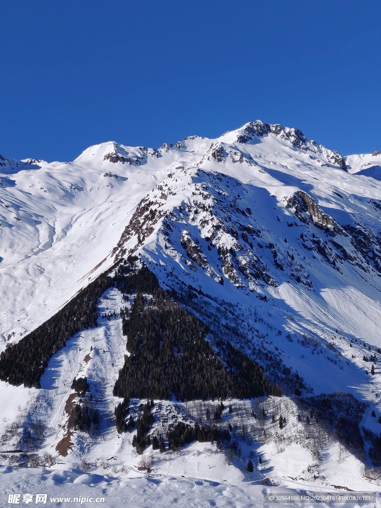 雪山山脈