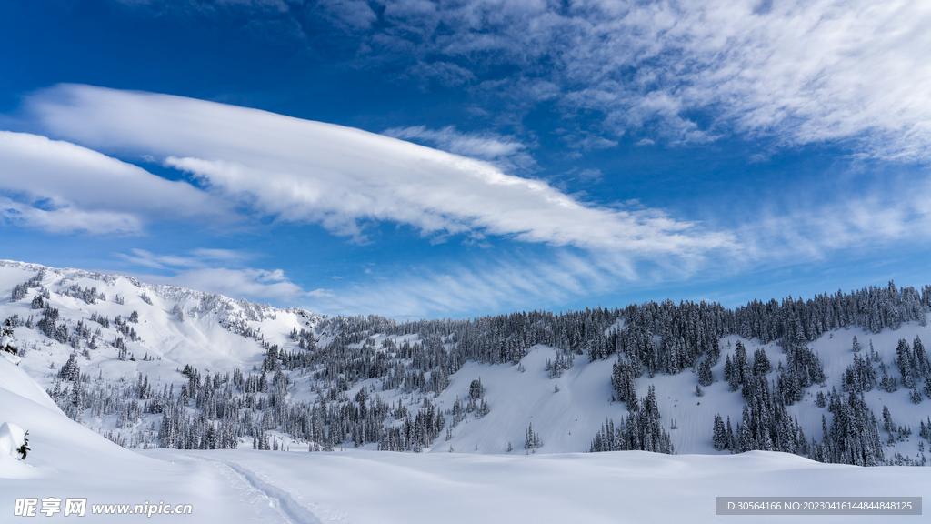雪山雪地