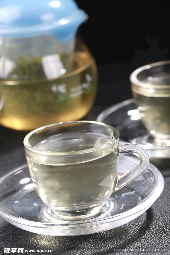 苦丁茶