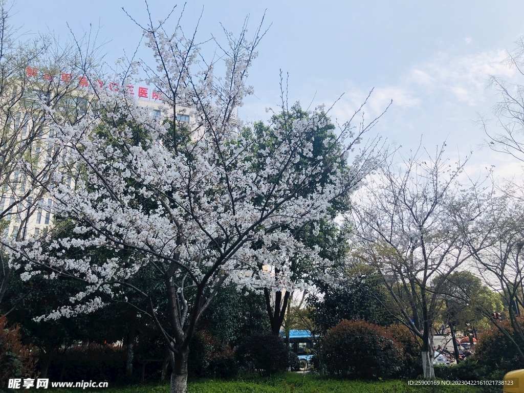 太子灣公園 