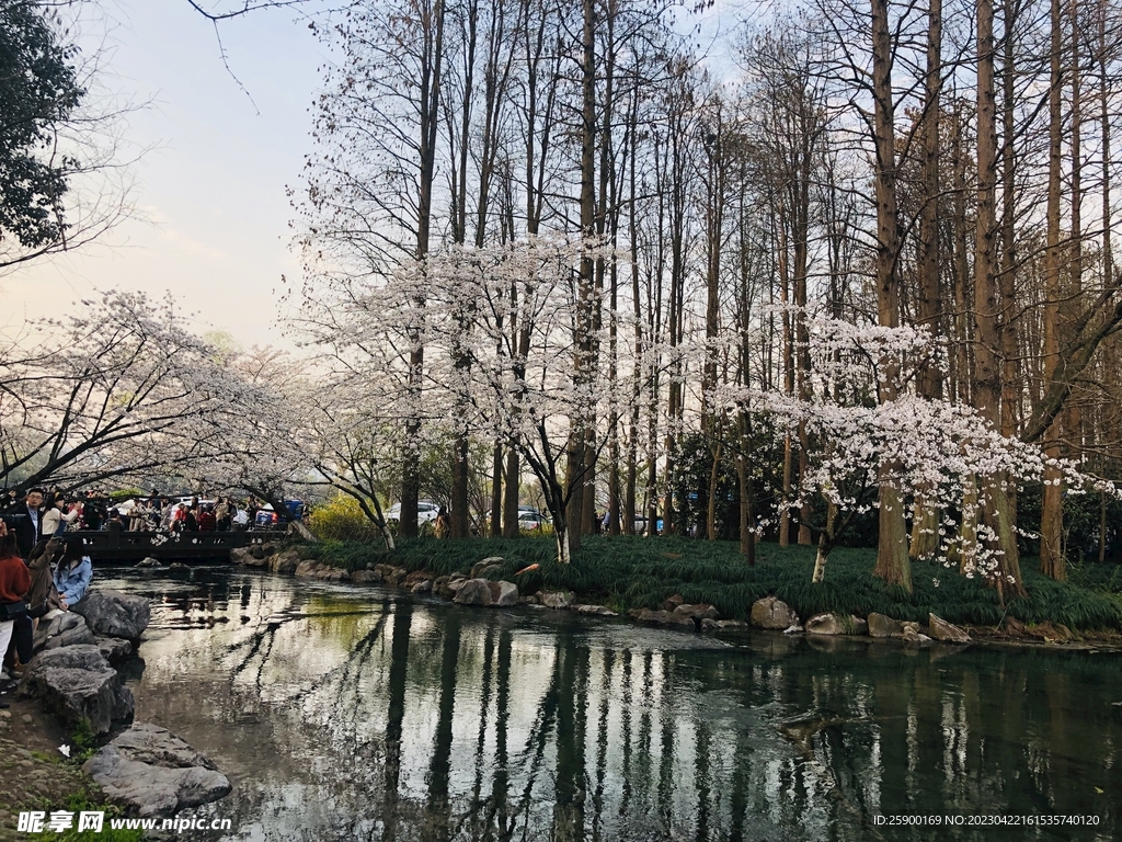 太子灣公園