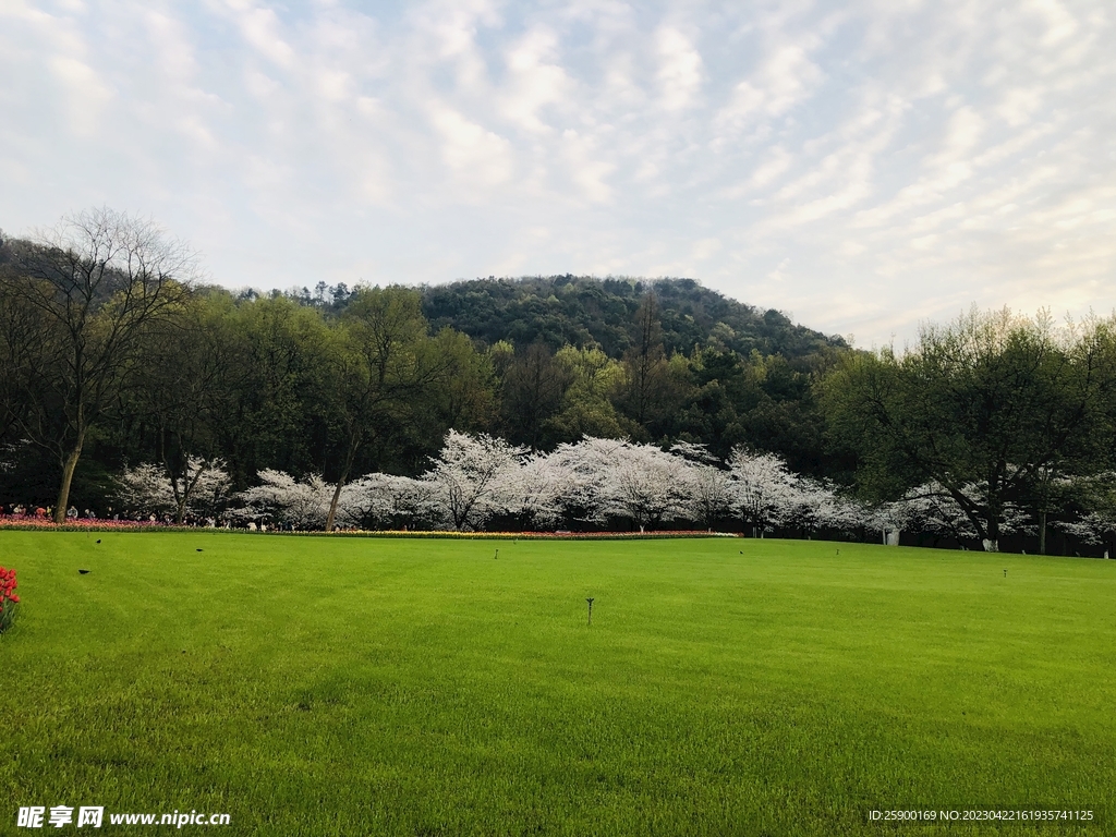 太子灣公園 