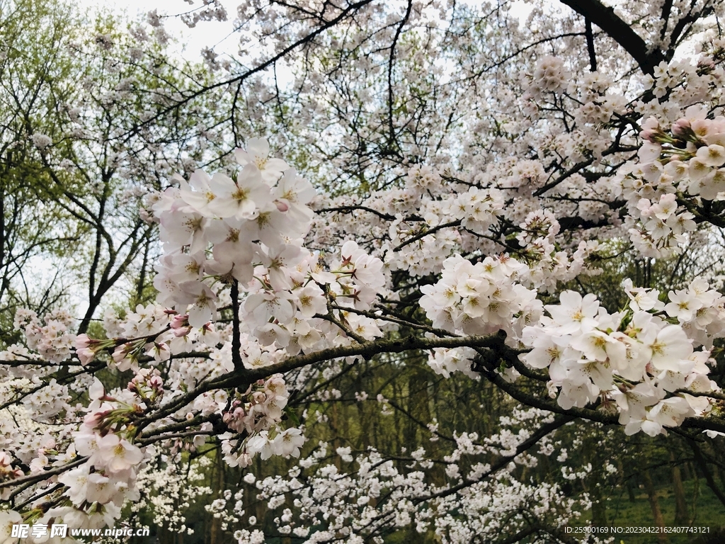 太子灣公園
