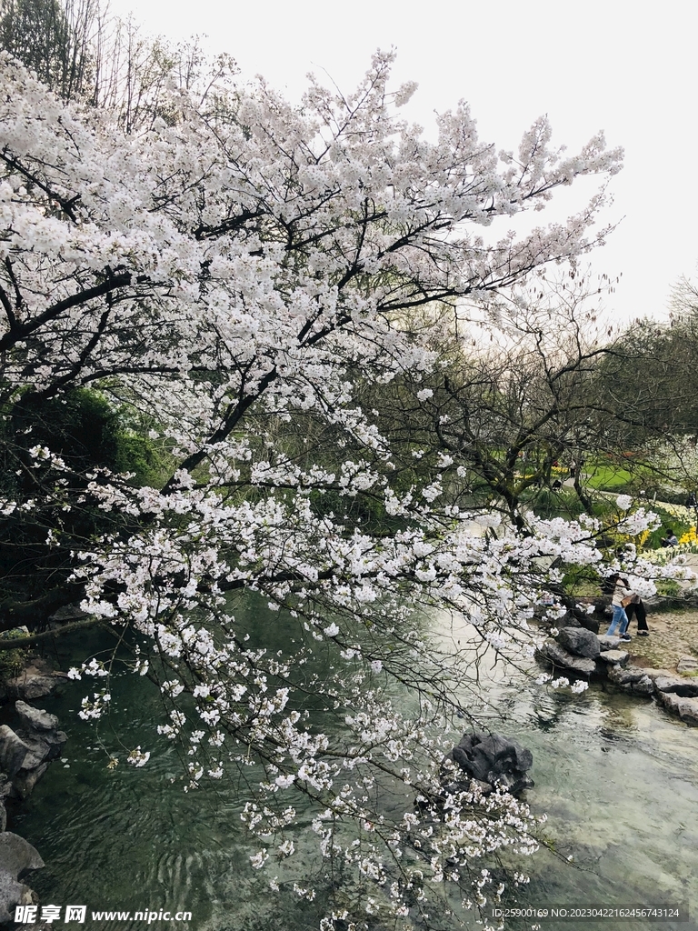 太子灣公園